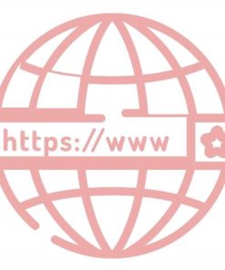 Tên miền DDNS NOIP