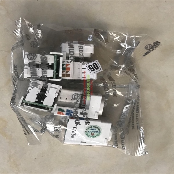 Nhân mạng âm tường CAT5E RJ45 - Cái Nhân mạng âm tường CAT5E RJ45 - Cái