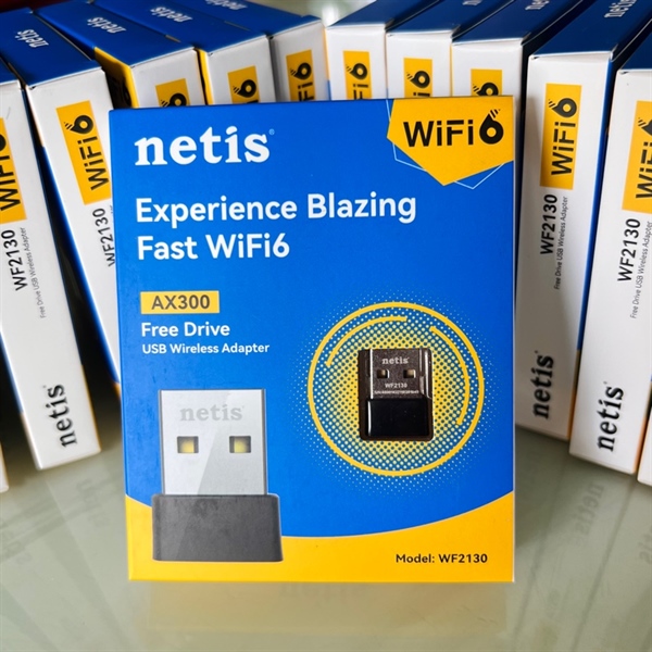 USB Wifi Netis WF2130 - Cái
