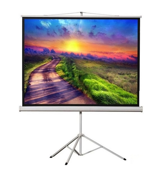 Màn chiếu 3 chân Apollo TRS220R 120 inch (80"x80") - Cái