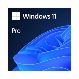 Phần mềm Windows Pro 11 64Bit Eng Intl 1pk DSP OEI DVD (FQC-10528) - Box