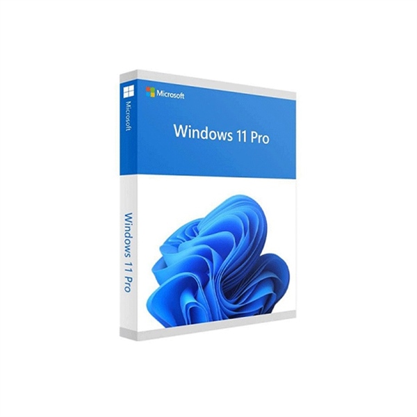 Phần mềm Windows 11 Pro 64-bit All Lng PK Lic Online DwnLd NR FQC-10572 - vĩnh viễn - Key